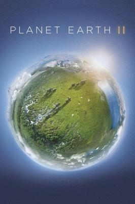 BD50 地球脈動/行星地球 第二季 2碟 Planet Earth Season 2 2016 110-045|110-046 
