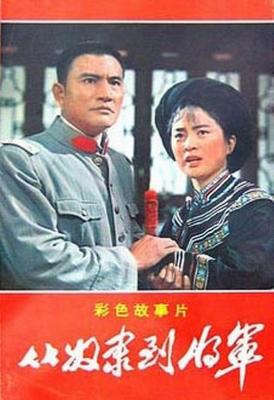從奴隸到將軍‎ (1979) 上下集 2碟 4K高清修復版