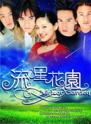 流星花園/花樣男子 (2001) 2碟