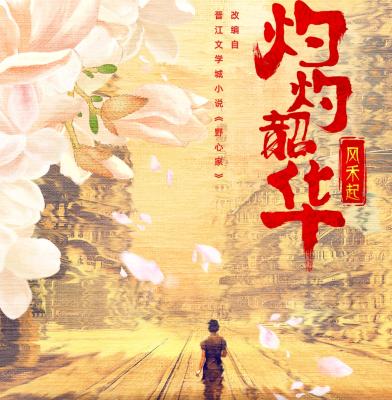 灼灼韶華灼灼韶華風禾起/野心家 (2025) 4碟 高畫質版