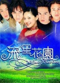 流星花園/花樣男子 (2001) 2碟