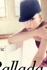 安室奈美惠情歌精選集2014
