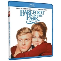 新婚燕爾/冷戰夫妻/裸足佳偶 Barefoot in the Park (1967)