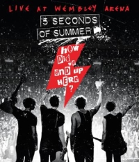 BD50-2D 五秒盛夏樂隊 演唱會 Five Seconds of Summer: How Did We End Up Here? Live at Wembley Arena (2015)